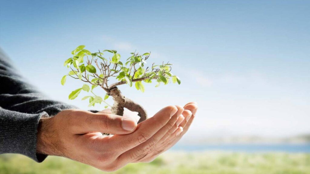 Getting ISO 14001 Certified-ISO 9001 Portland OR- ISO PROS #32 Getting ISO 14001 Certified-ISO 9001 Portland OR- ISO PROS #32